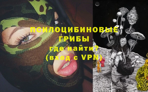 молекула духа Алексин