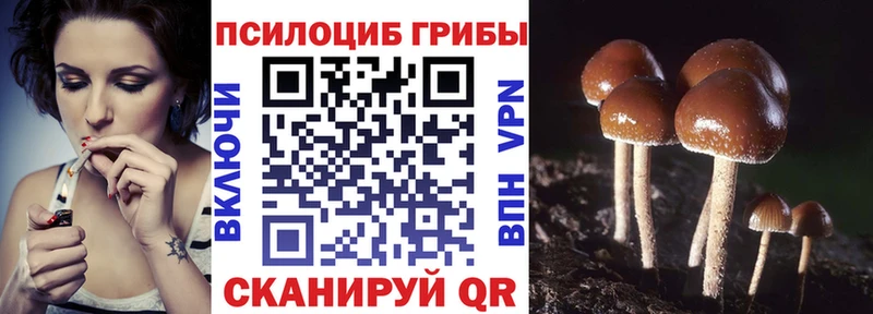 mega зеркало  Пятигорск  shop наркотические препараты  Галлюциногенные грибы мицелий 